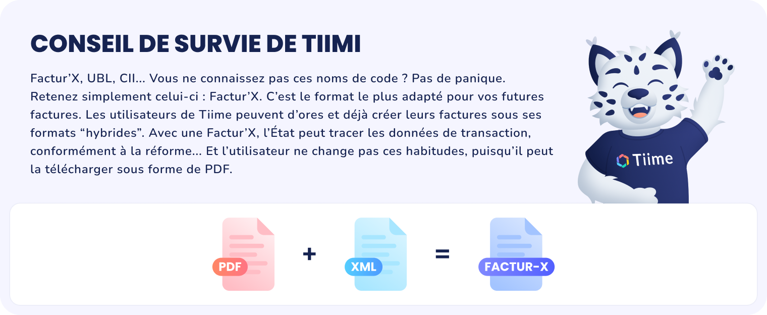 tiime-fe-schema-conseil-tiimi